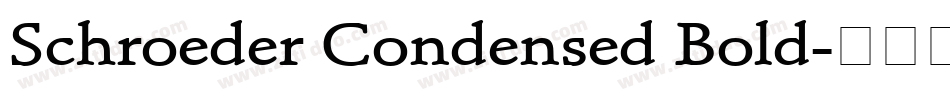 Schroeder Condensed Bold字体转换
